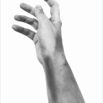 Susanne Franz (2025)